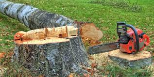 Best Utility Line Clearance  in Erlanger, KY