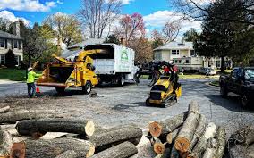 Best Lawn Mowing  in Erlanger, KY