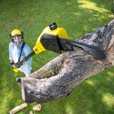 Best Lawn Watering Services  in Erlanger, KY