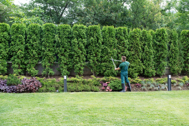 Best Lawn Irrigation Installation and Maintenance  in Erlanger, KY